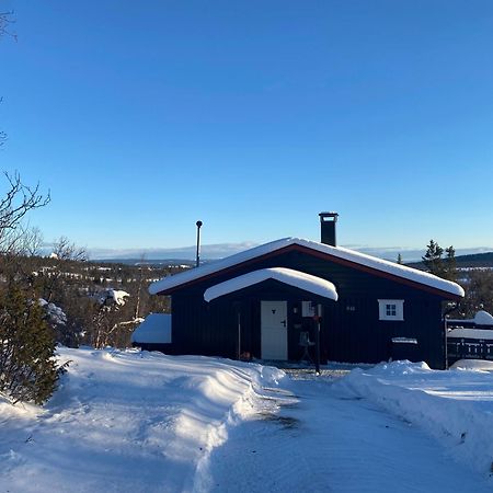 Cabin In The Mountain, Outstanding View & Solar Energy Slidre Exterior photo